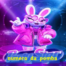 numero da pomba jogo do bicho